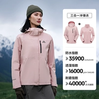 [Женская модель] миндальный вентилятор |