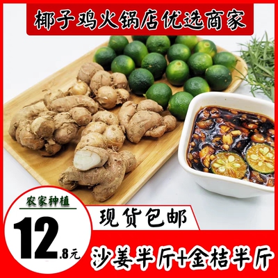 现货 青金桔半斤+沙姜半斤海南椰子鸡白切鸡蘸料配料新鲜厨房调味