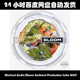 Minimal Audio Bloom Ambient Production Suite WAV素材包