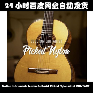 Nylon Native 素材包 Picked Guitarist Instruments Session