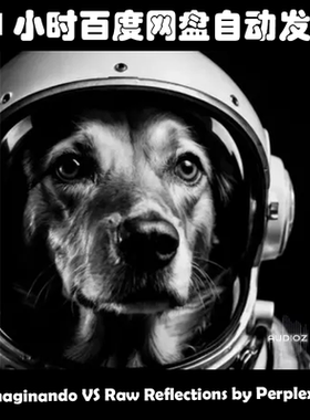 Imaginando VS Raw Reflections by Perplex OnT素材包