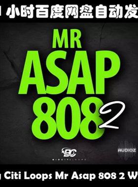 Big Citi Loops Mr Asap 808 2 WAV素材包