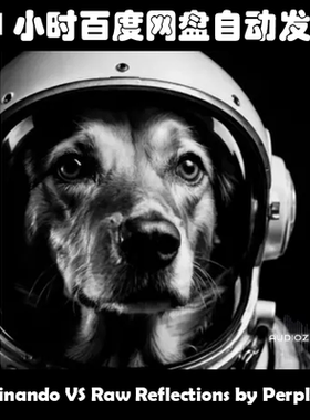 Imaginando VS Raw Reflections by Perplex On素材包