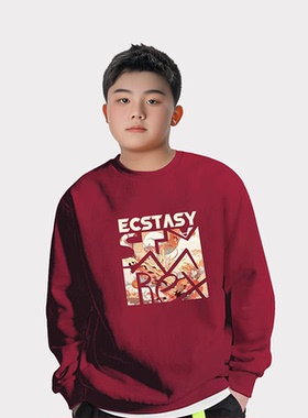 胖童中大童年服卫衣加绒男童女童大码加肥上衣长袖拜年服 54048