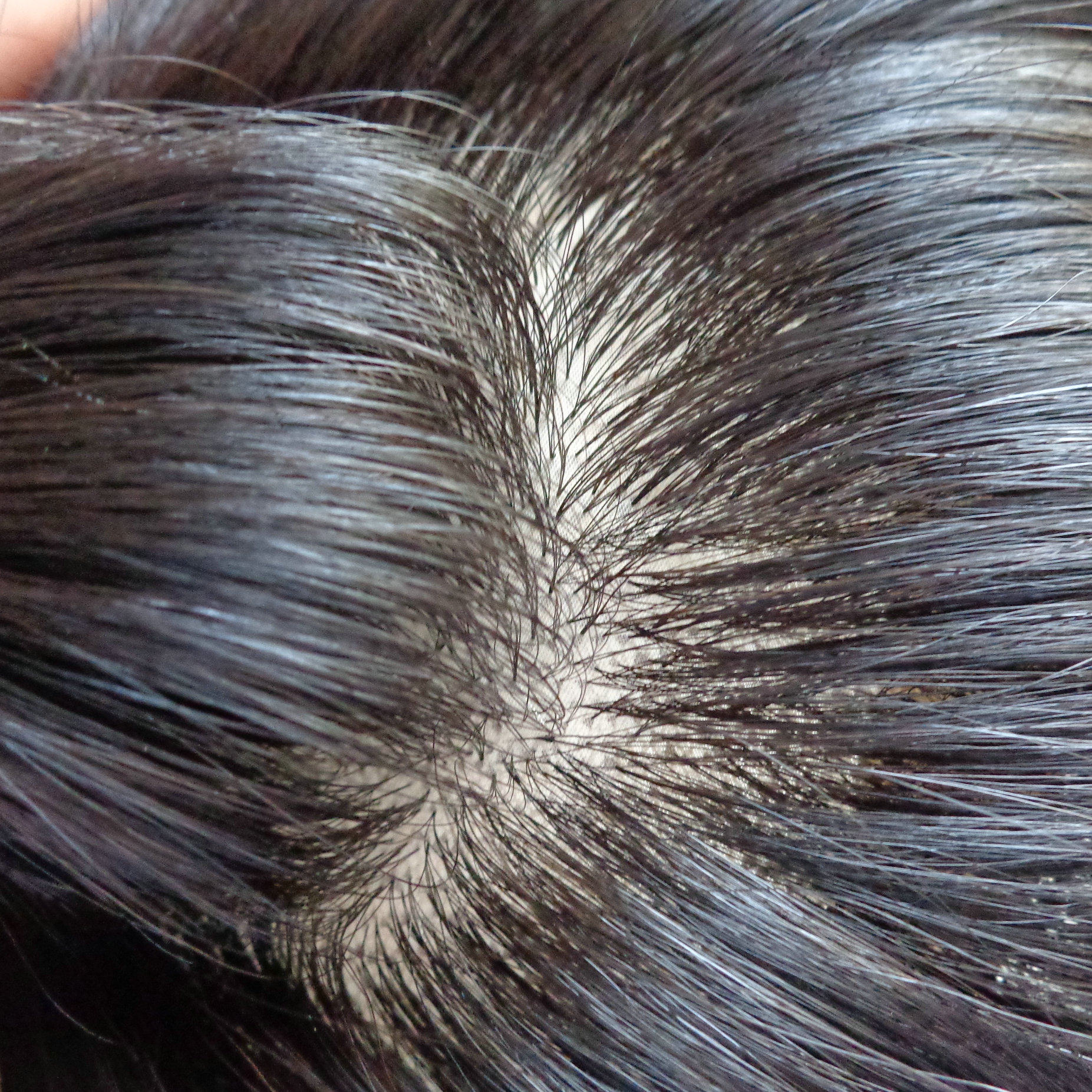 Extension cheveux - Ref 225035 Image 3