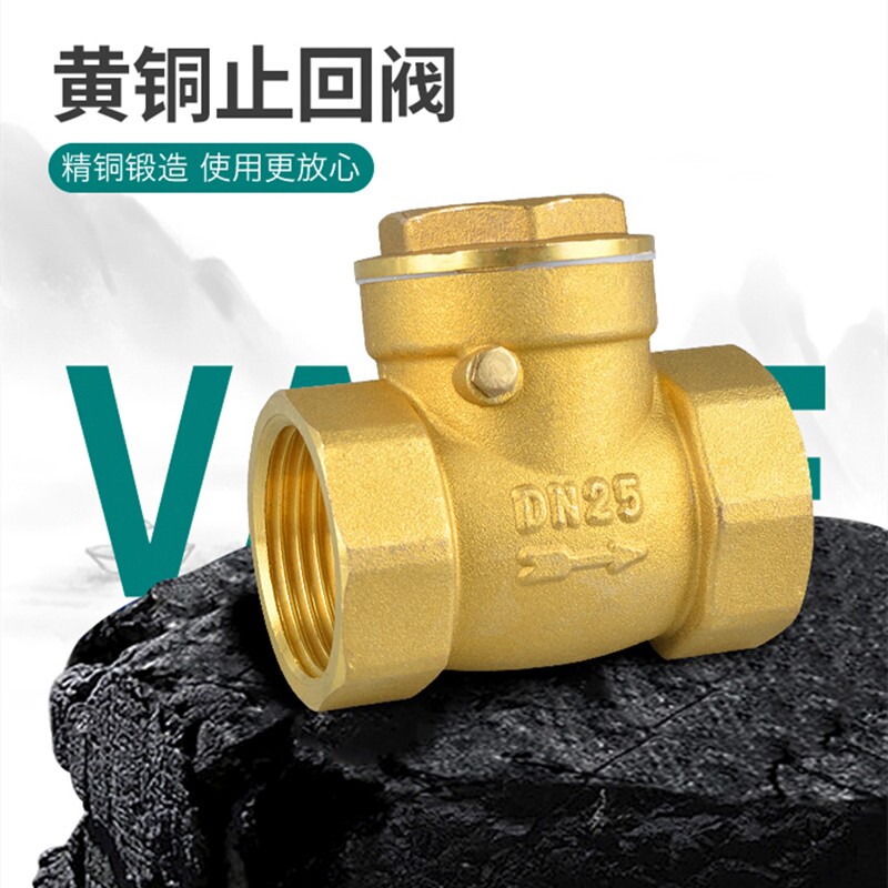 ppr水管单向阀自来水管防水表空转卧式止逆阀防止倒流不全铜