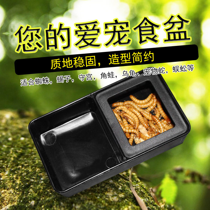 虫食器美食槽长方形水盘长方形乌龟守宫蜘蛛角蛙蛇类喂食器食盆