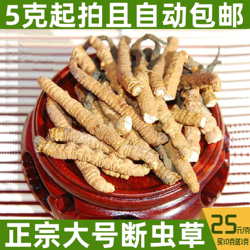 正品西藏那曲新鲜冬虫夏草