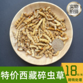 前期新干草 青海玉树头期虫草旗舰店 正品 断虫草西藏那曲冬虫夏草