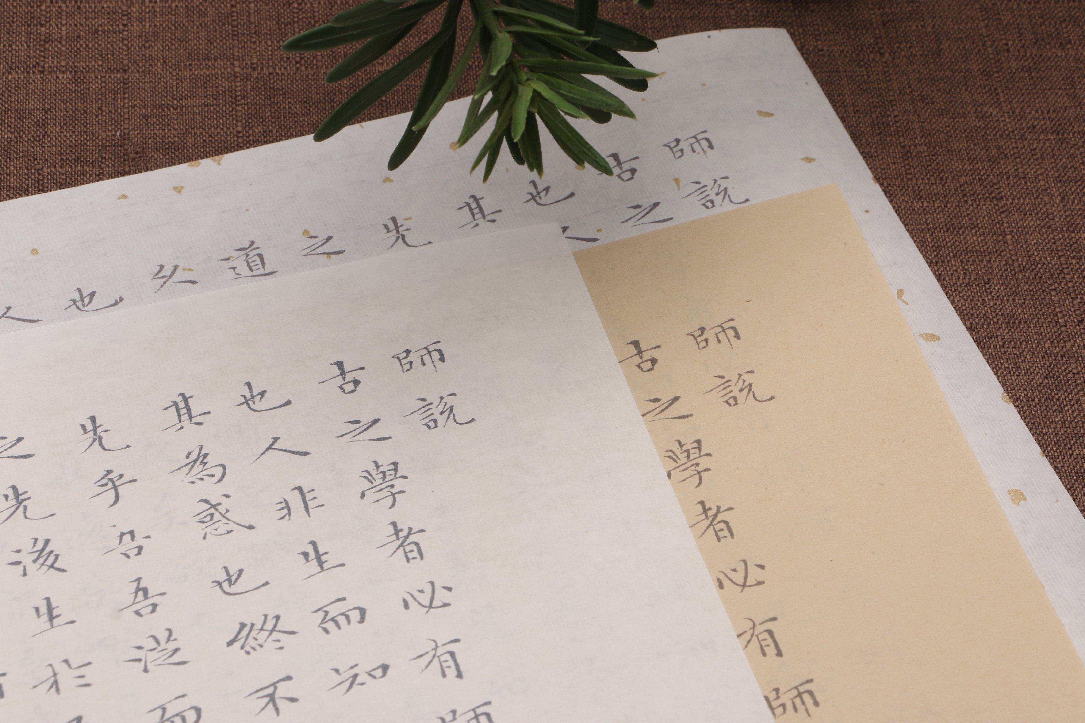 明代书法家文征明小楷师说毛笔描红字帖初学小字繁体临摹贴