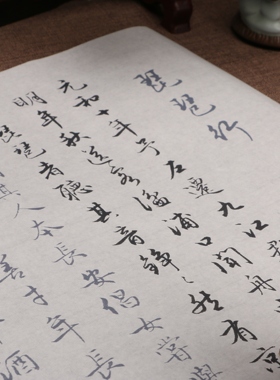 陈国昭行书琵琶行毛笔描红初学者练习临摹宣纸描字帖批发订制