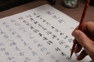 陈国昭行书琵琶行毛笔描红初学者练习临摹宣纸描字帖批发订制