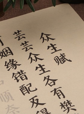 颜真卿楷书众生赋简体书法作品毛笔字帖入门临摹描红初学套装批发