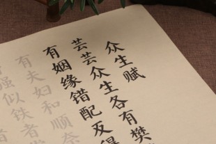 颜真卿楷书众生赋简体书法作品毛笔字帖入门临摹描红初学套装批发