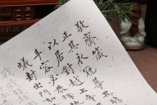 沈度敬斋箴行楷书描红毛笔字帖繁体字临摹初学毛笔字练习贴批发