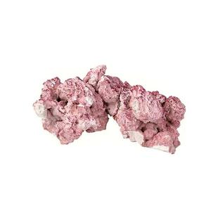 波兰AF紫色森林海缸造景石开缸代替海水活石培菌石免爆藻过滤材料