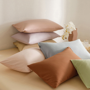 A类亲肤全棉磨毛枕套纯色加厚磨绒枕头罩48x74cm单人宿舍家用枕皮