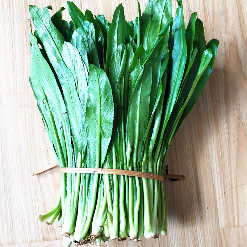 3斤装老缅芫荽刺芹 大香菜野香草阿佤假香荽新鲜云南特色新鲜蔬菜