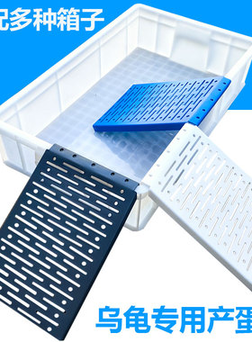 乌龟晒台沙盘带爬梯板产蛋箱沙池箱产蛋池冬眠盒产蛋网格家用爬台