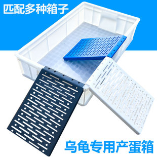 乌龟晒台沙盘带爬梯板产蛋箱沙池箱产蛋池冬眠盒产蛋网格家用爬台
