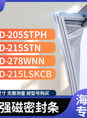适用海尔BCD-205STPH 215STN 278WNN 215LSKCB冰箱密封条门封条胶