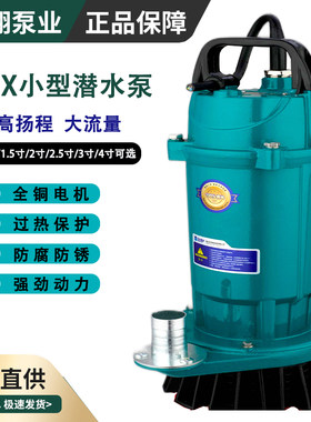 QDX小型潜水泵高扬程电动泵