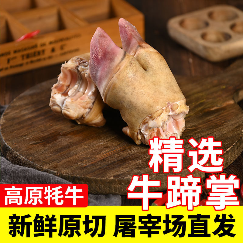 新鲜牛蹄掌整只原切5斤牛脚掌带牛蹄筋生牛蹄火烧去毛牛爪子包邮