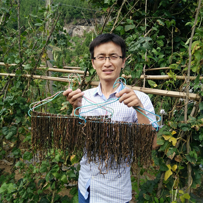 四川特产干豇豆广元苍溪农家鲜嫩干豆角自然晾晒无硫磺自种250g