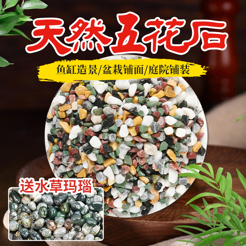 5斤天然雨花石养花专用石子水培多肉铺面石鱼缸造景底砂五彩石头