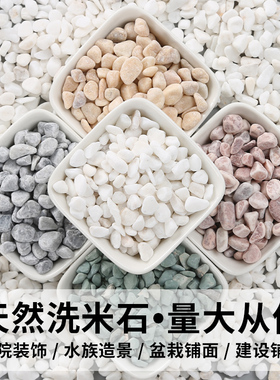 5斤 天然白色鹅卵石白石子盆栽鱼缸铺底庭院造景铺路多肉铺面石头