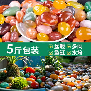 南京雨花石五彩天然石鹅卵石鱼缸造景石头水培石子养花彩色玛瑙石