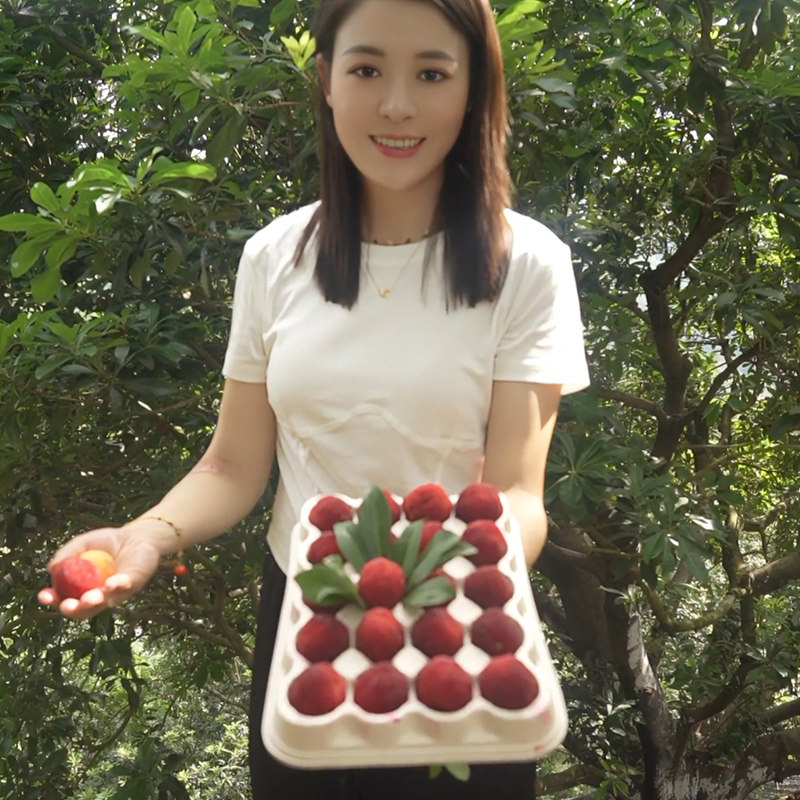 露天仙居杨梅新鲜东魁特大果现摘现发时令鲜果整箱浙江当季水果