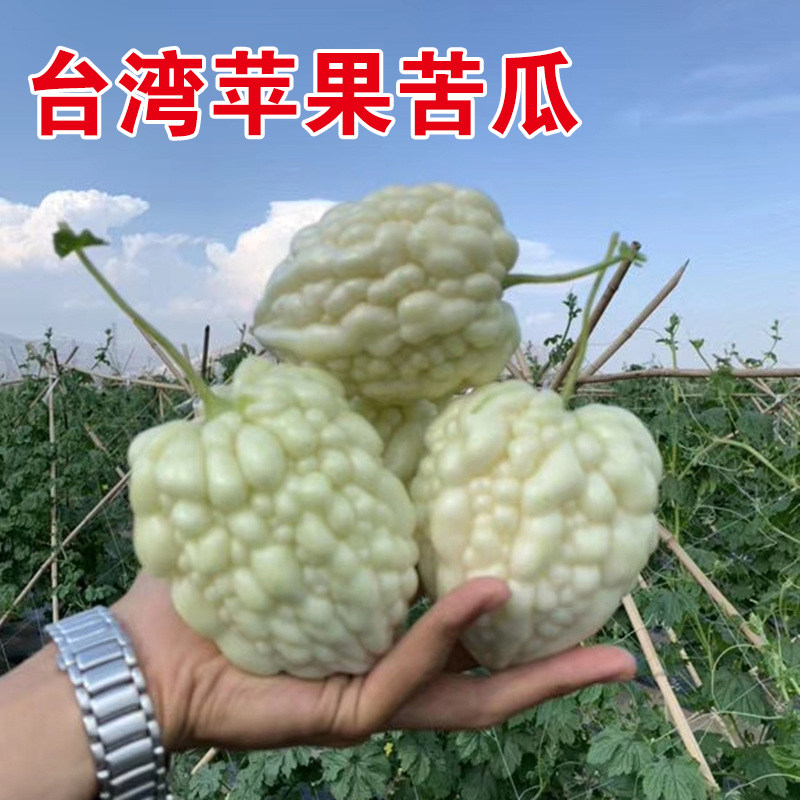 台湾苹果苦瓜种子种籽苗阳台白玉四季盆栽蔬菜特大白高产水果秧孑,鲜花速递/花卉仿真/绿植园艺,家庭园艺种子,淘宝优惠券,粉丝福利购,淘宝优惠卷