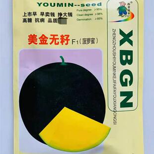 美金无籽西瓜种子黑皮黄瓤无籽西瓜籽早熟圆形菠萝蜜薄皮