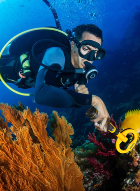 Waterproof Pinpointer Pulse Dive Underwater Detector All Met