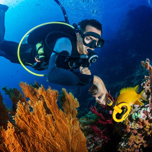 Waterproof Pinpointer Pulse Dive Underwater Detector All Met