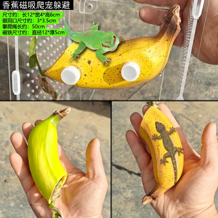 爬宠磁铁磁吸躲避洞玻璃缸树栖睫角守宫R属爬宠捕鸟蛛跳蛛躲避洞