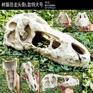 爬虫饲养箱造景头骨犀牛羊骷髅头火玫瑰蜘蛛蝎子蜥蜴守宫晒台躲避