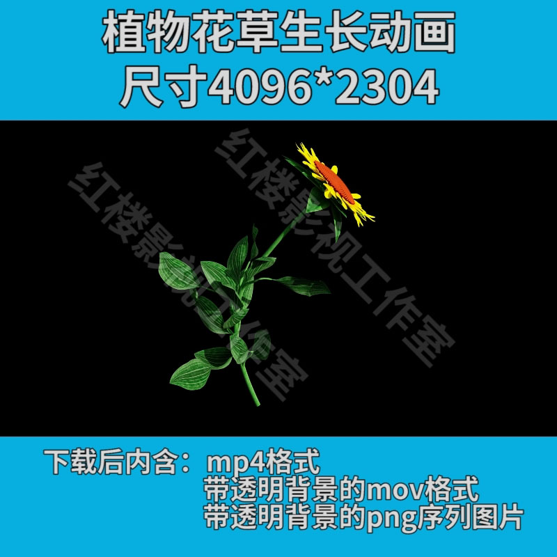 4K植物自然生长草生长树生长植物从无到有生长动画视频素材003-封面