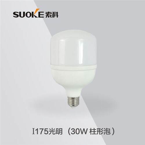 超亮LED球泡灯E27螺口光源LED灯白光5W/10W/15W/20W/30W I175L