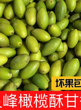 潮汕灵峰橄榄酥脆甘香金灶新鲜现摘生吃甘香青橄榄果正宗特产