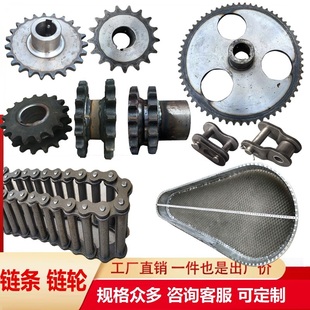 抛丸机配件提升辊道链轮双齿轮12A16A6分一寸3263210自转加宽链条