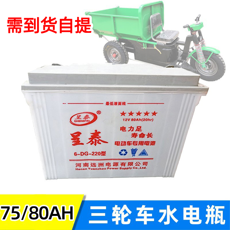 12v80ah水电瓶蓄电池呈泰