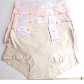 戈霓薇6600莫代尔柔滑舒适女三角内裤 竹纤维女孩子中腰短裤