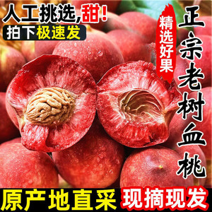 红肉血桃新鲜水果雪桃非水蜜桃当季红不软脆桃红心桃子产地直发