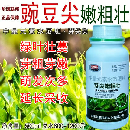 豌豆尖嫩粗壮豌豆头龙须菜叶面肥绿叶壮蔓绿叶促长芽肥芽壮芽嫩