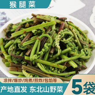 东北特产猴腿森源猴腿菜蔬菜山猴腿蕨菜山野菜袋装 5袋 450g
