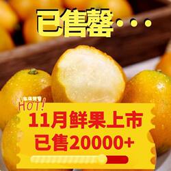 正宗广西融安脆蜜金柑第三代金桔现摘新鲜纯甜水果礼盒插孔包装