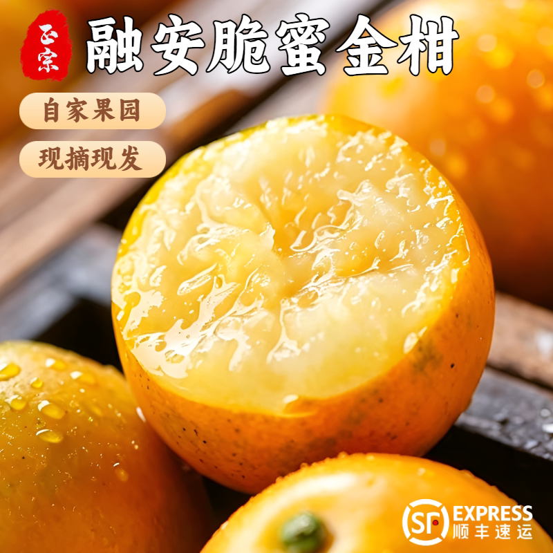 正宗广西融安金桔第三代脆蜜金柑新鲜现摘鲜果纯甜桔子非独立包装