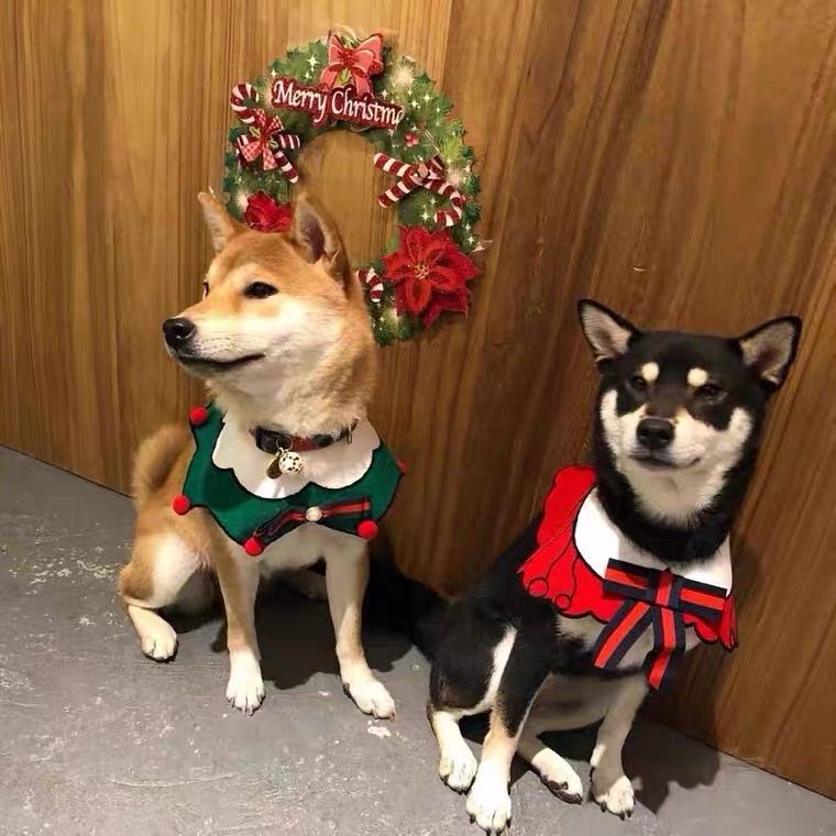 狗狗口水巾柴犬可爱围脖法斗柯泰迪基博美围嘴围巾宠物大型犬围兜